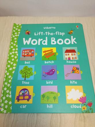 Usborne lift the flap word book,