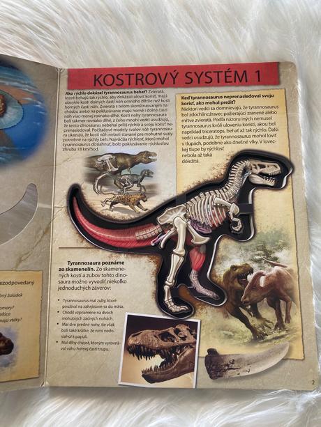 Pozrite sa do útrob dinosaura tyrannosaura,