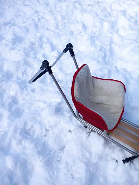 Sánky pre dvojičky, duo, 