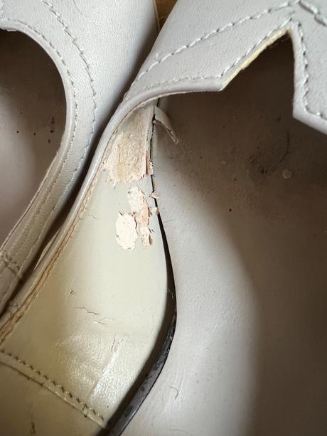 Lodicky lasocki, lasocki,39