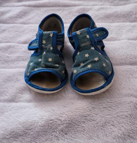 Rak papučky, rak,24