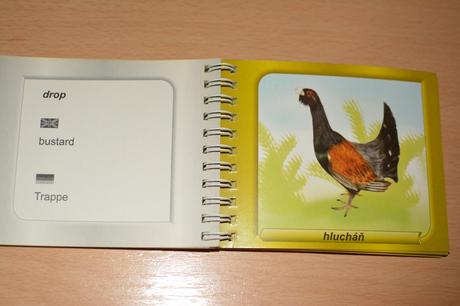 Didakticke karty zvierata zivocichy 3 anglicky nem,