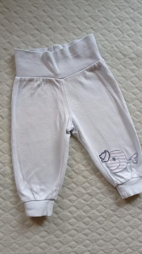 Tepláčiky rybka, frog,62