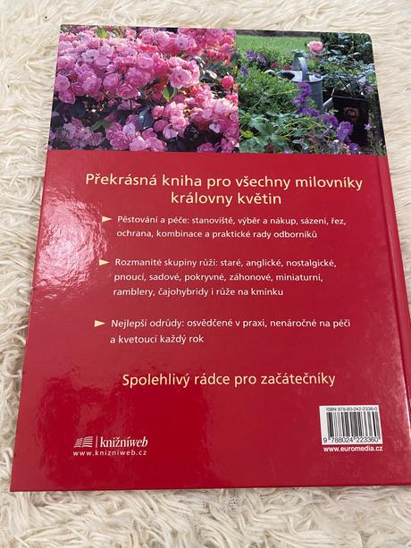 Ruže pre každého robert markley kvety ruža,