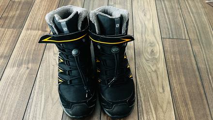 Snehule salomon, salomon,37