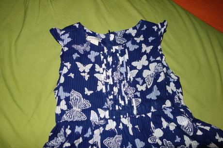 Motylikove satocky monsoon, monsoon,116