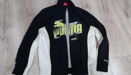 Puma bunda, puma,140