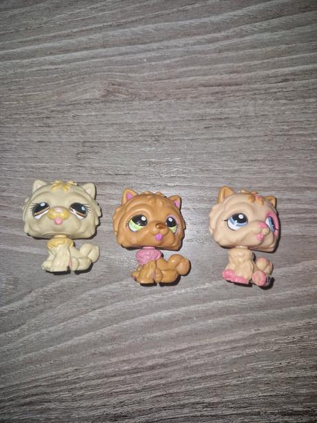 Littlest pet shop chow chow,
