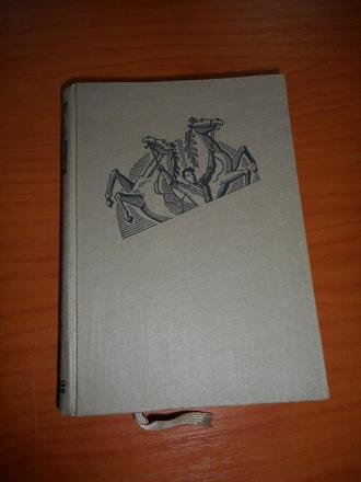 Pyšný meino, gustav frenssen,