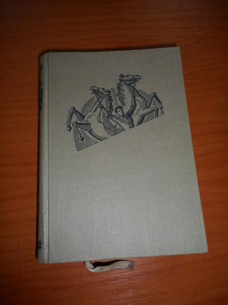 Pyšný meino, gustav frenssen,