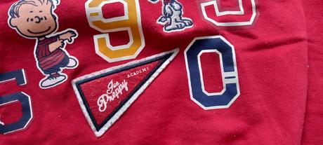 Mikina snoopy, peanuts,104