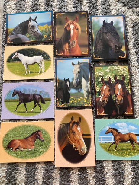 Pohľadnice koní nepopísané 10ks,