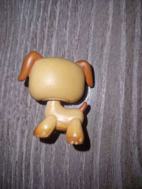 Littlest pet shop boxer, 