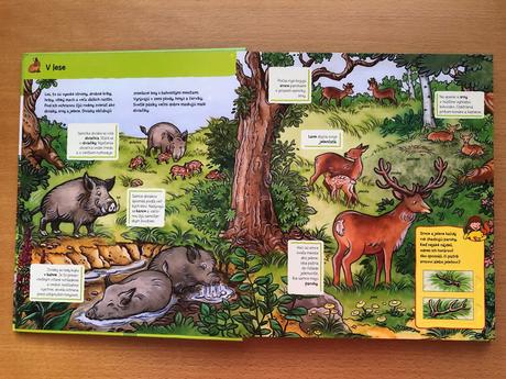 Kniha v lese, 