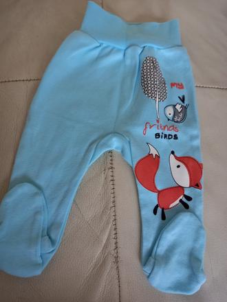 Polodupačky s líškou 62, 62