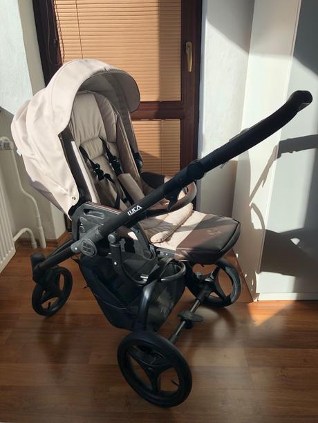 Bebetto luca pro 2023, bebetto,bebetto luca