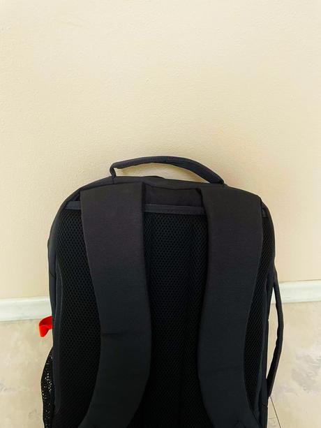 Priestranný veľký rupsak,