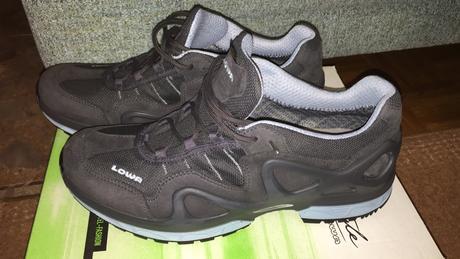 Lowa gordon gtx, lowa,41