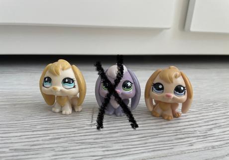 Lps zajkovia s ušami dole,