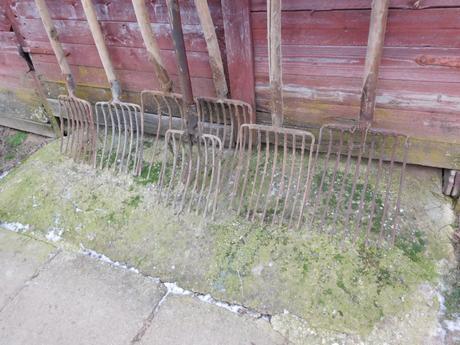 Staré náradie vidly s drevenou rukoveťou,,