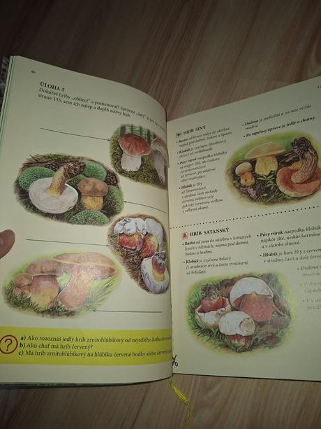 Hubové kráľovstvo, 