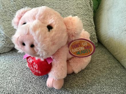 Plyšové prasiatko, 