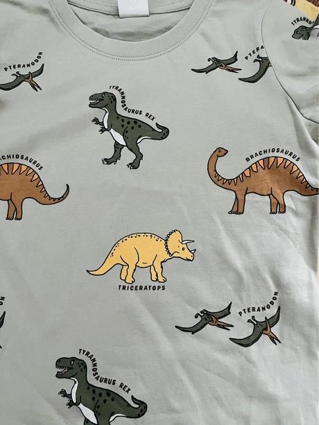 98/104 zn. lindex nové bavlnené tričenko s dinami, lindex,98 / 104