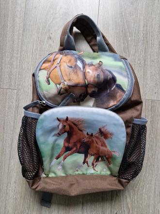 Ruksak koník,