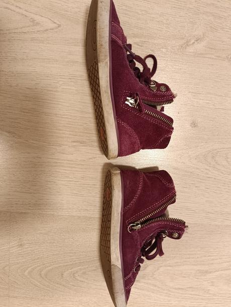 Elefanten v. 29, elefanten,29