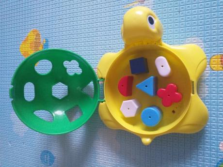 Korytnačka vkladačka, 