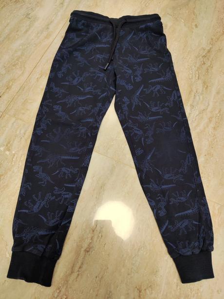 Tenké tepláky s dinom, coccodrillo,122