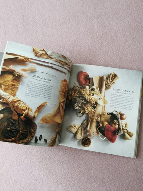 The modern natural dyer - kristine vejar,