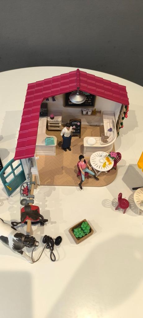 Kaviareň pre kone, plus stajňa, 