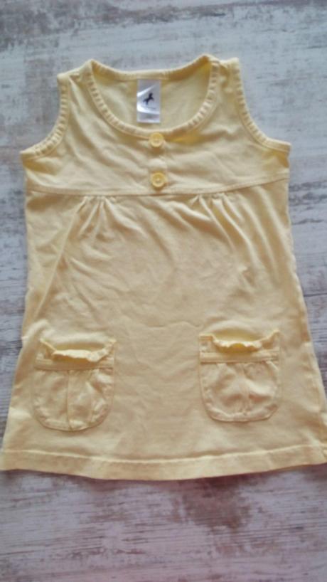 Tielko, palomino,110