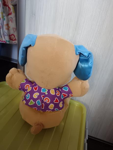 Psík, 
