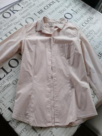 Bledoruzova kosela, stradivarius,m