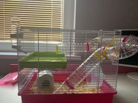 Klietka pre škrečkov, 