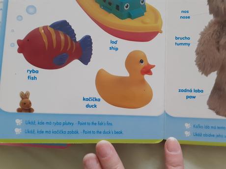 Prvé knižky angličtina 5x, 