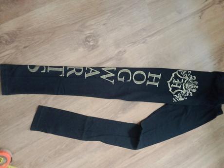 Legíny harry potter, 158