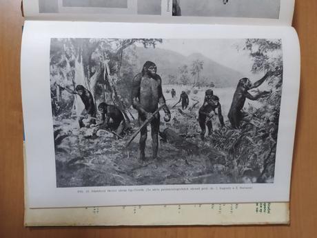 Metodika prírodopisu (1964), 