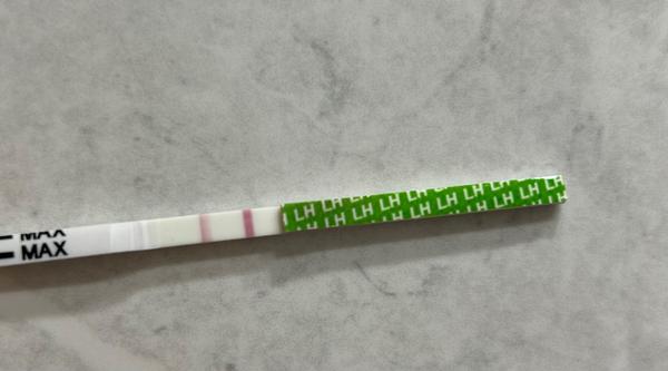 Značí ovulačný test tehotenstvo?