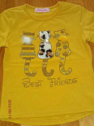 Horčicové tričko, 122