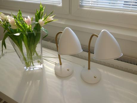 Nočné lampy kovové-flexibilné rameno s husím krkom, 