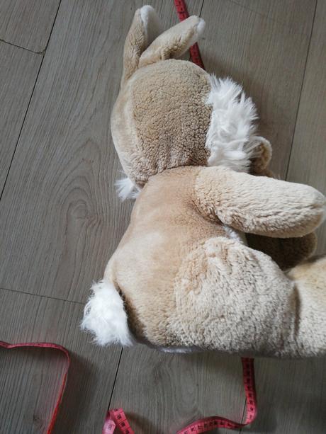 Zajacica s malým zajkom, 