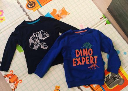 Tričko + mikina s dinosaurom, 98