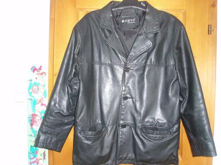 Kožená bunda, l