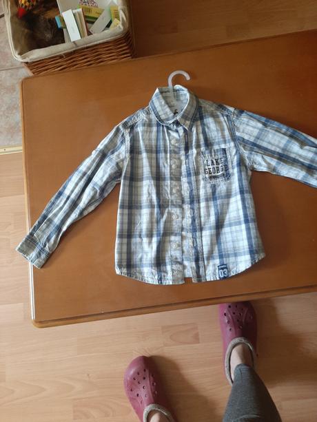 Košela, palomino,98