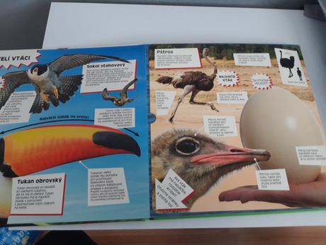 Kniha zvierata, 