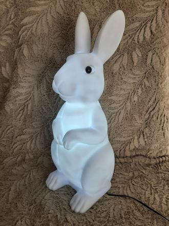 Led svietiaci zajac.,