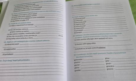 Príprava na strednú školu zo slovenčiny,